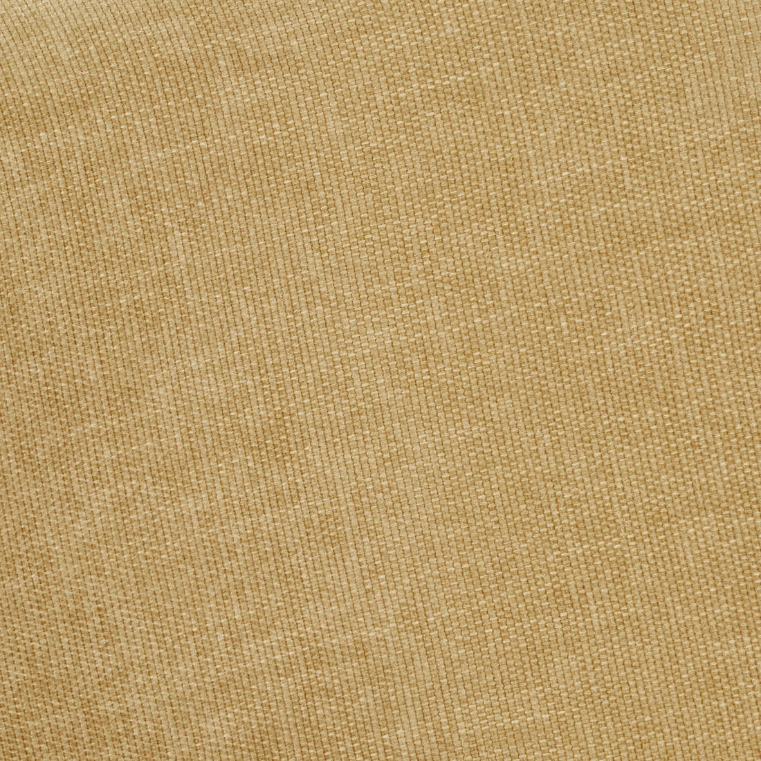 Rowan Occasional Chair in Copeland Honey with Matt Cashmere Metal by GlobeWest at Darling & Domain