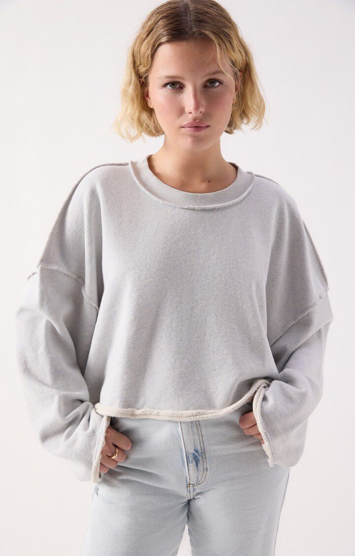 DANTOWN SWEATSHIRT DAN03AE in Sky Blue Melange by American Vintage