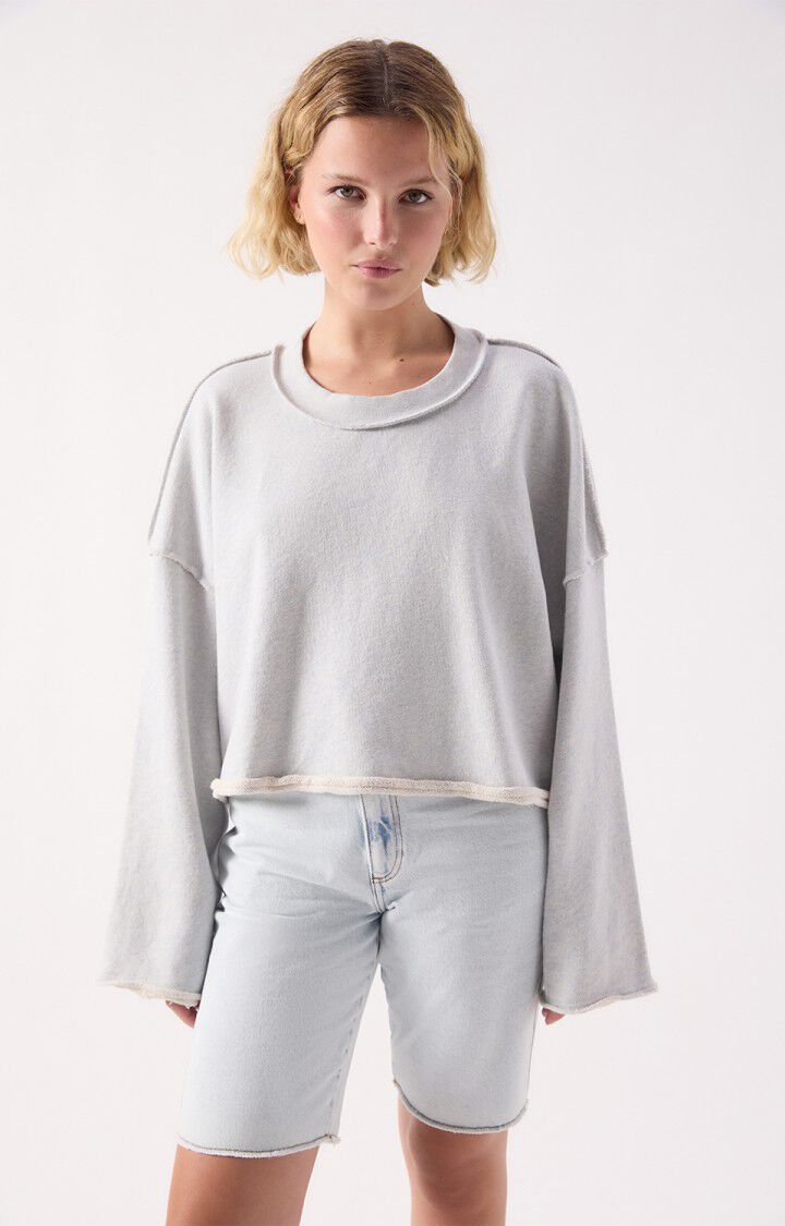 DANTOWN SWEATSHIRT DAN03AE in Sky Blue Melange by American Vintage