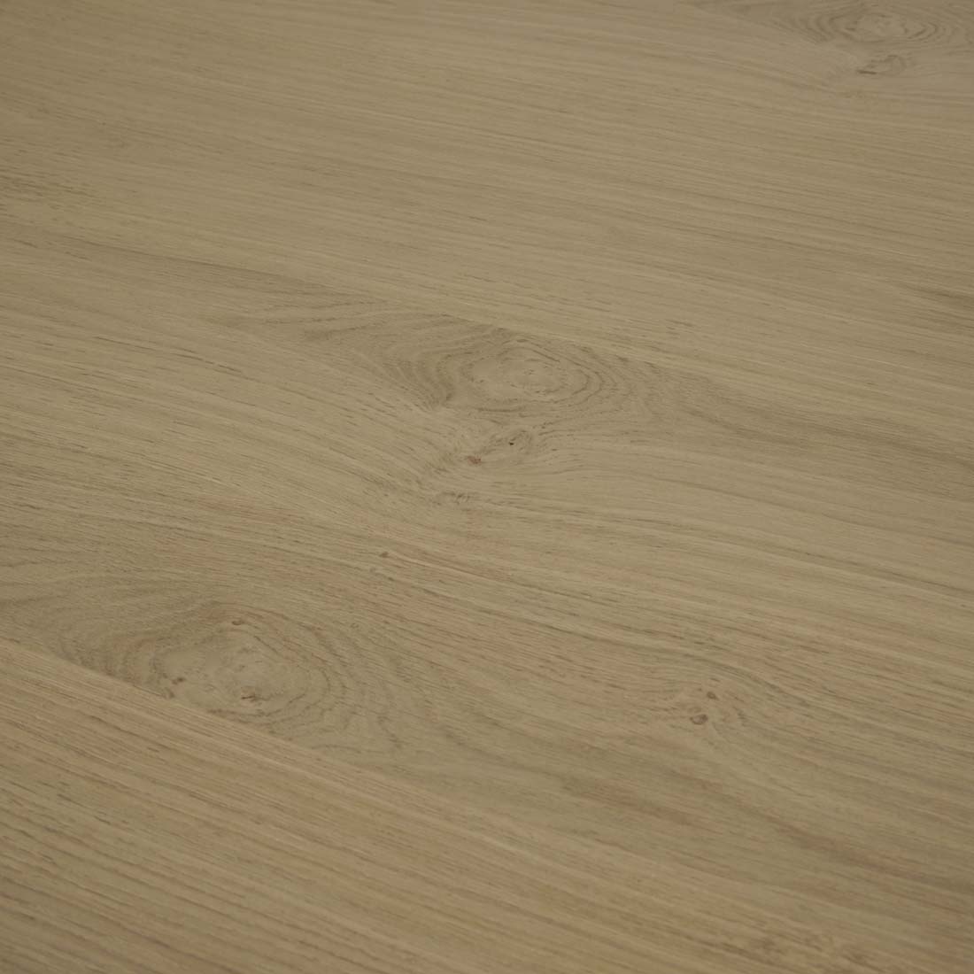 SEB OVAL DINING TABLE 10 Seater in Oak by GlobeWest at Darling & Domain