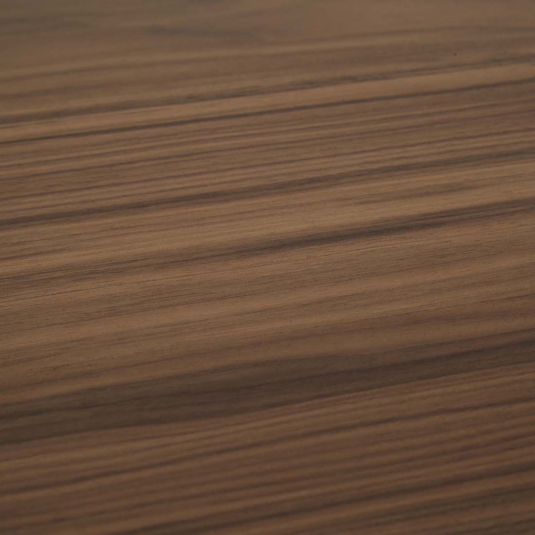 SEB OVAL DINING TABLE 8 Seater in Walnut by GlobeWest at Darling & Domain