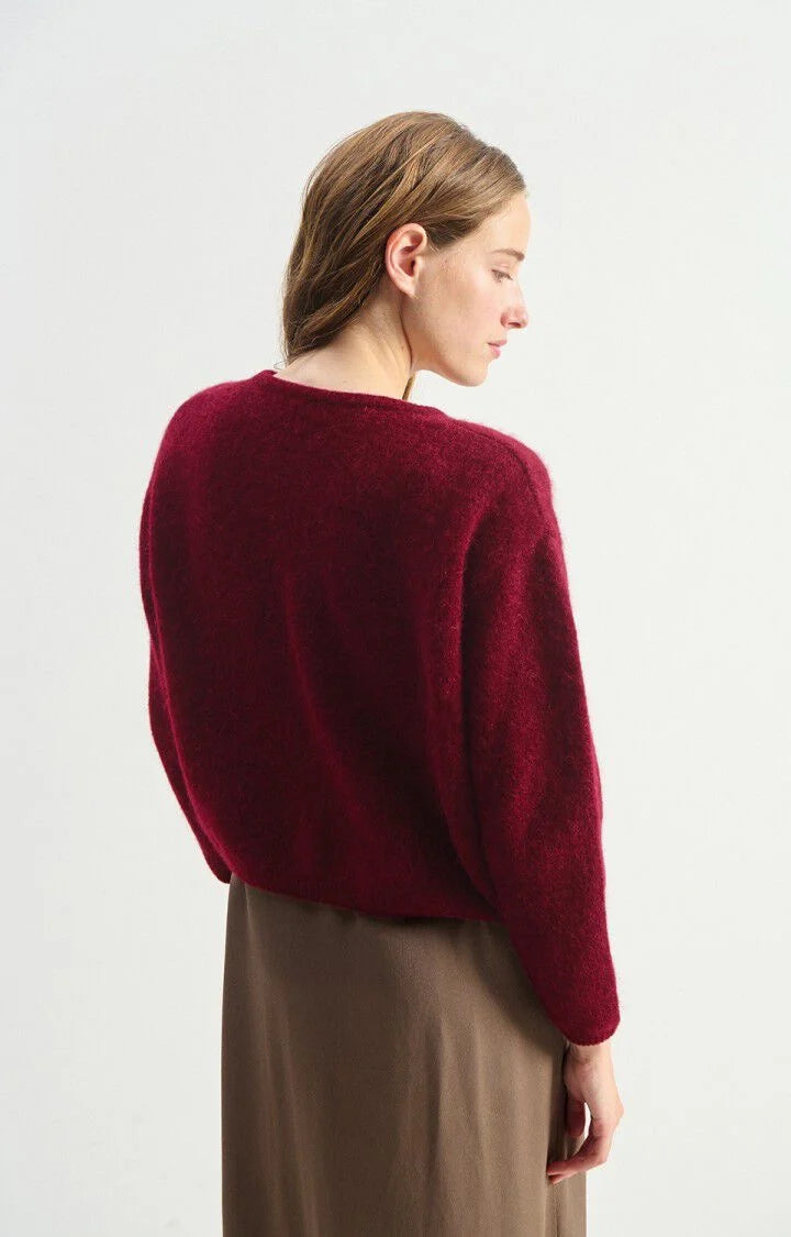 VITOW CARDIGAN VITO19E in Cherry Tree Melange by American Vintage