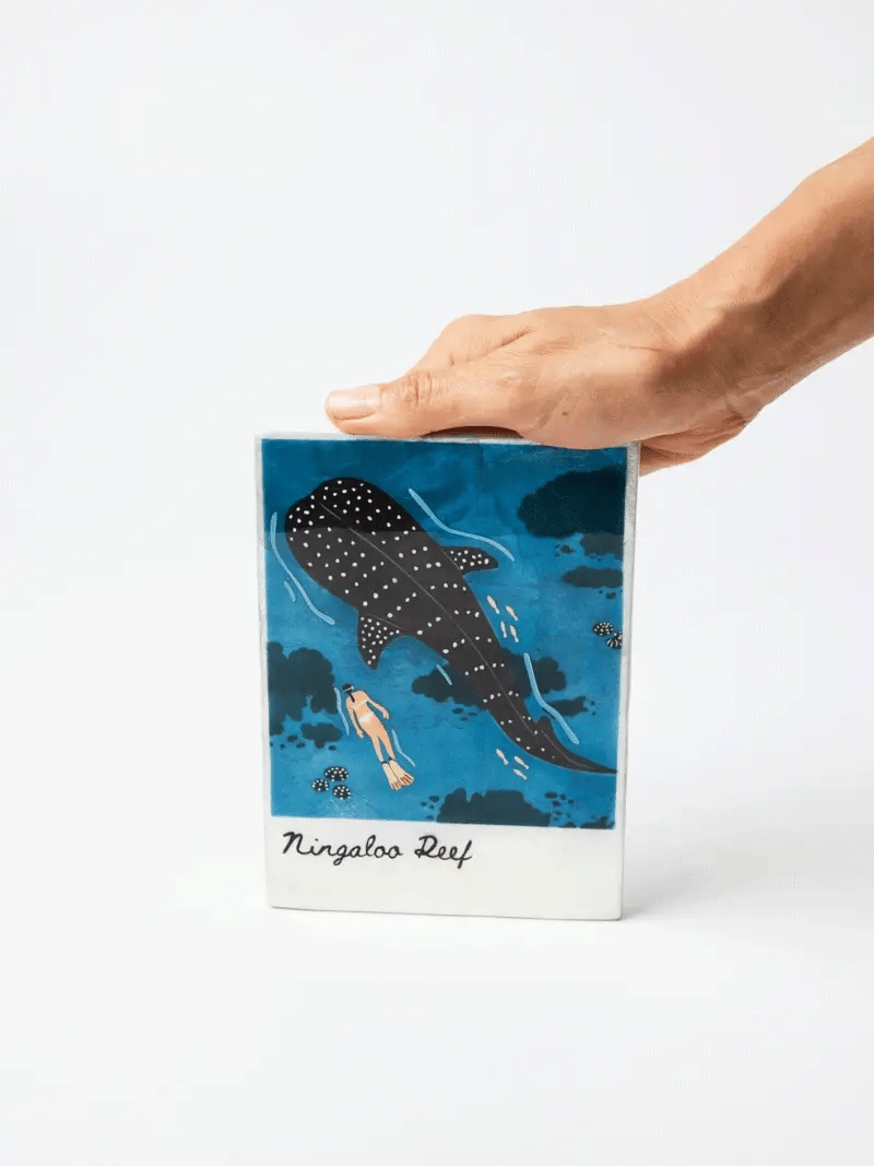 SNAPSHOT WALL TILE in Ningaloo by Jones & Co
