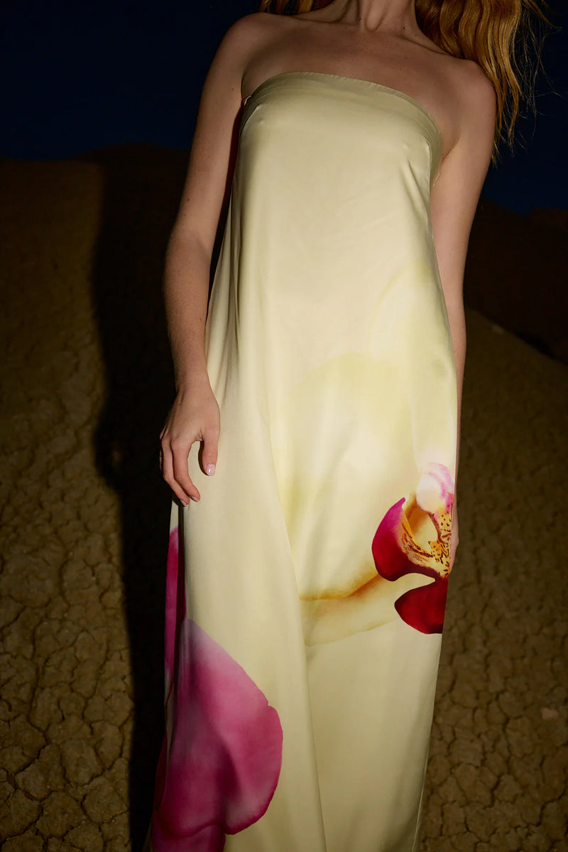 LUCIE DRESS | Elfin Phalae