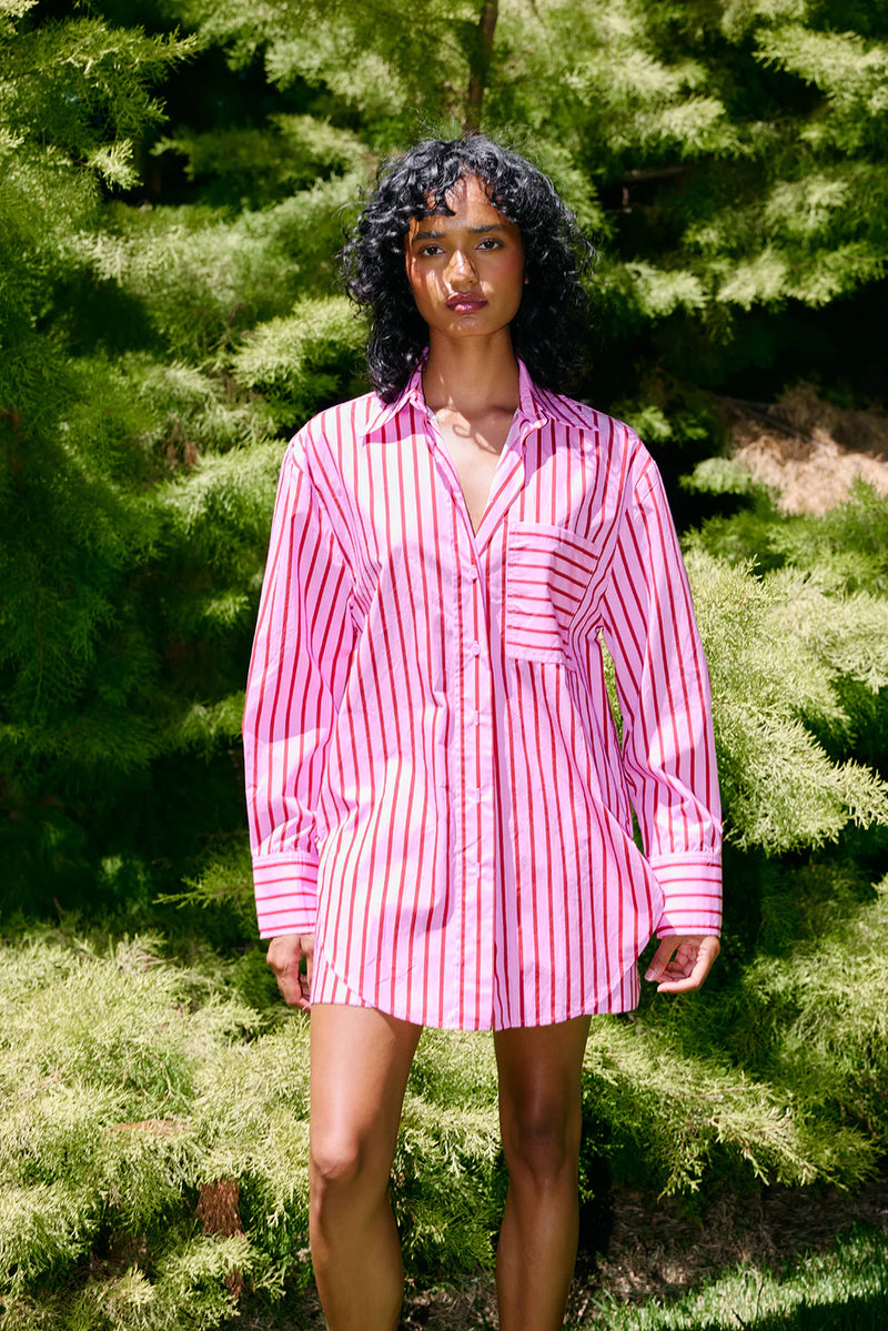 BUDDY SHIRT | Magenta Stripe
