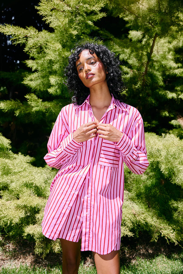 BUDDY SHIRT | Magenta Stripe