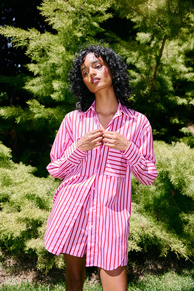 BUDDY SHIRT | Magenta Stripe