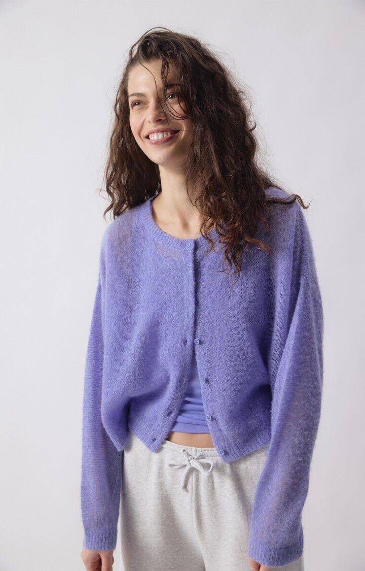 BODYROW CARDIGAN BOD19A in Provence Melange by American Vintage