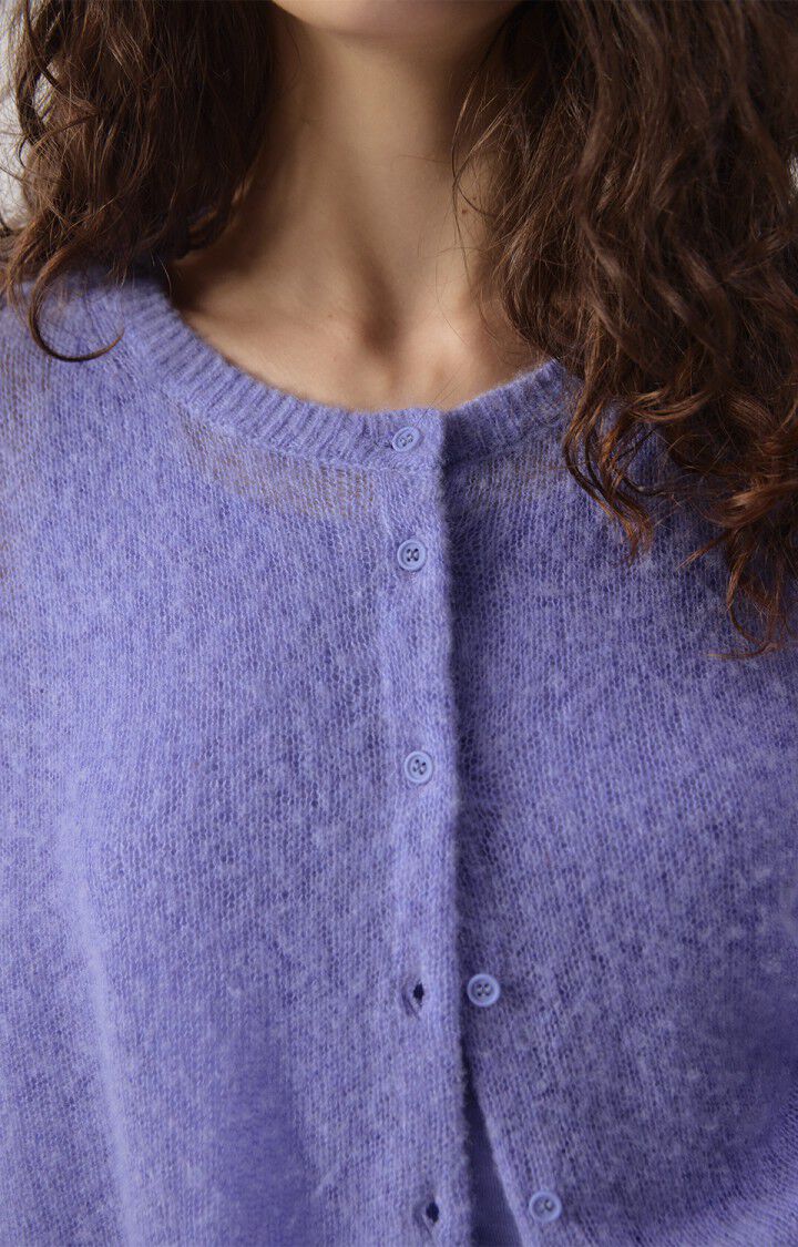 BODYROW CARDIGAN BOD19A in Provence Melange by American Vintage