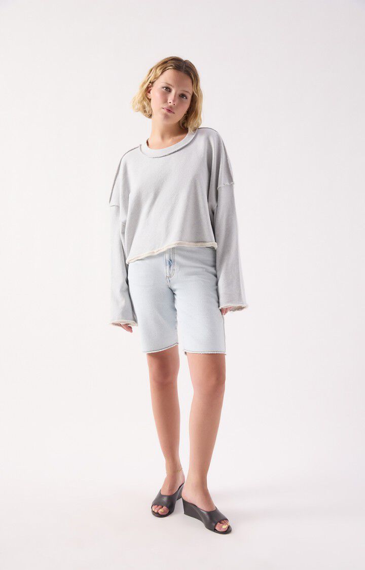 DANTOWN SWEATSHIRT DAN03AE in Sky Blue Melange by American Vintage