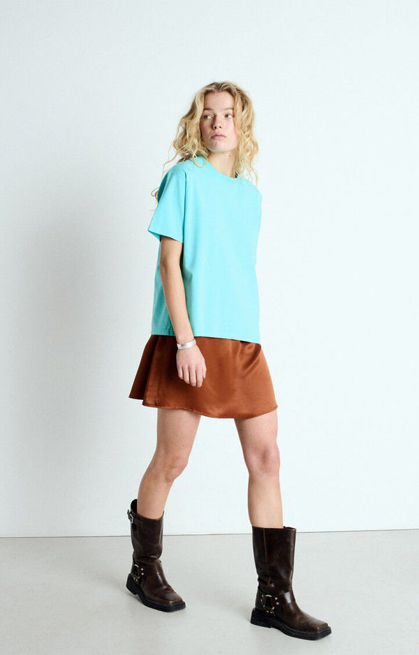 FIZVALLEY SHORT SLEEVE TEE FIZ02A in Vintage Caribbean by American Vintage