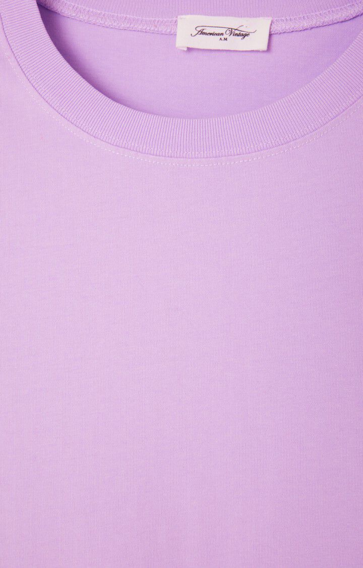 FIZVALLEY SHORT SLEEVE TEE FIZ02A in Vintage Parma by American Vintage