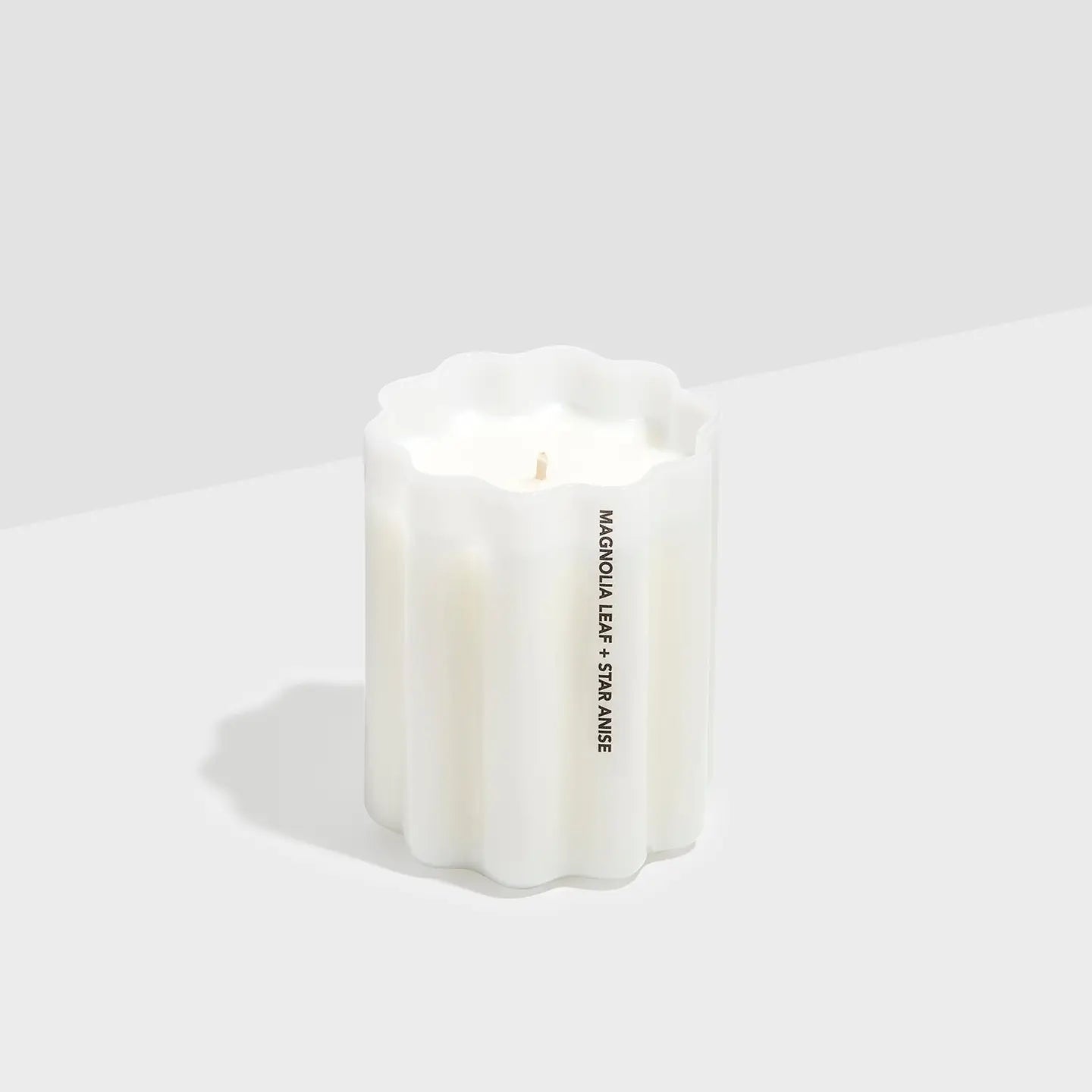 WAVE CANDLE | Magnolia Leaf + Star Anise - Darling & Domain