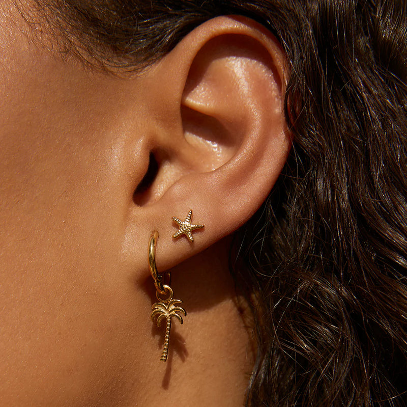 STARFISH GOLD STUDS