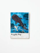 SNAPSHOT WALL TILE in Ningaloo by Jones & Co