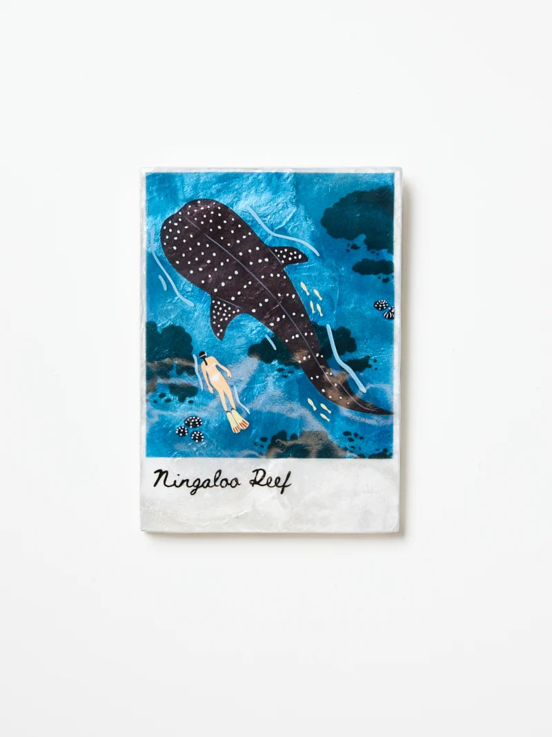 SNAPSHOT WALL TILE in Ningaloo by Jones & Co