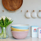 TALA STONEWARE MIXING BOWL in Dusty Pink Corn Design by Tala