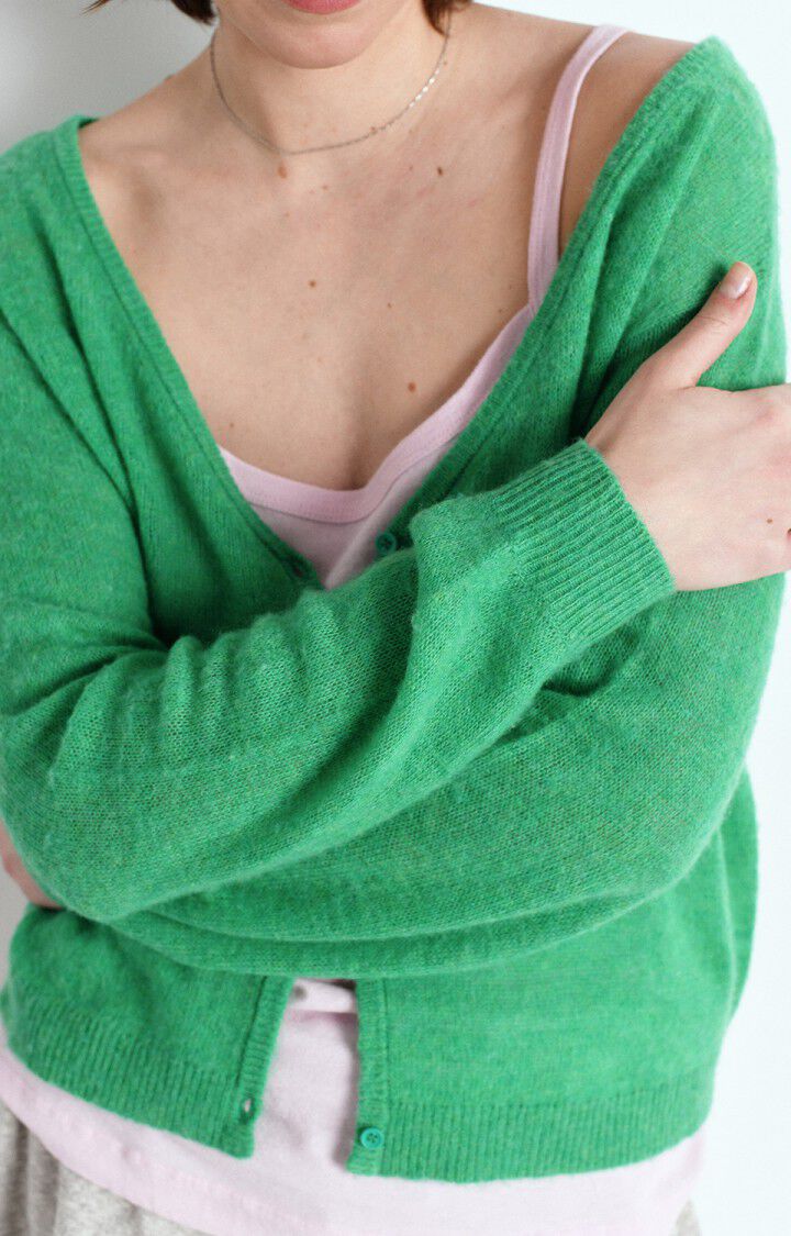 Dumy Cardigan DUM19A in Green Melange by American Vintage