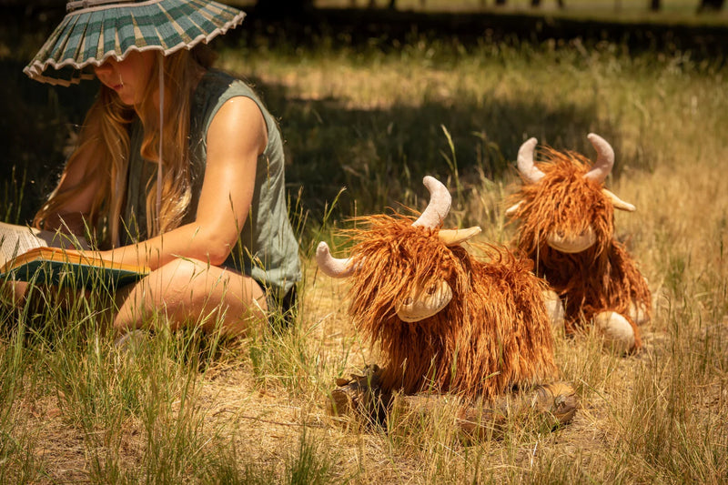 HEIDI THE HIGHLAND COW