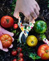 KIP & CO x STEPHANIE ALEXANDER | Harvest Garden Secateurs & Gloves