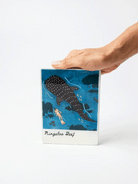 SNAPSHOT WALL TILE in Ningaloo by Jones & Co