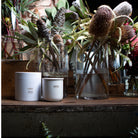 SALUS SOY CANDLE | Lemongrass - Darling & Domain